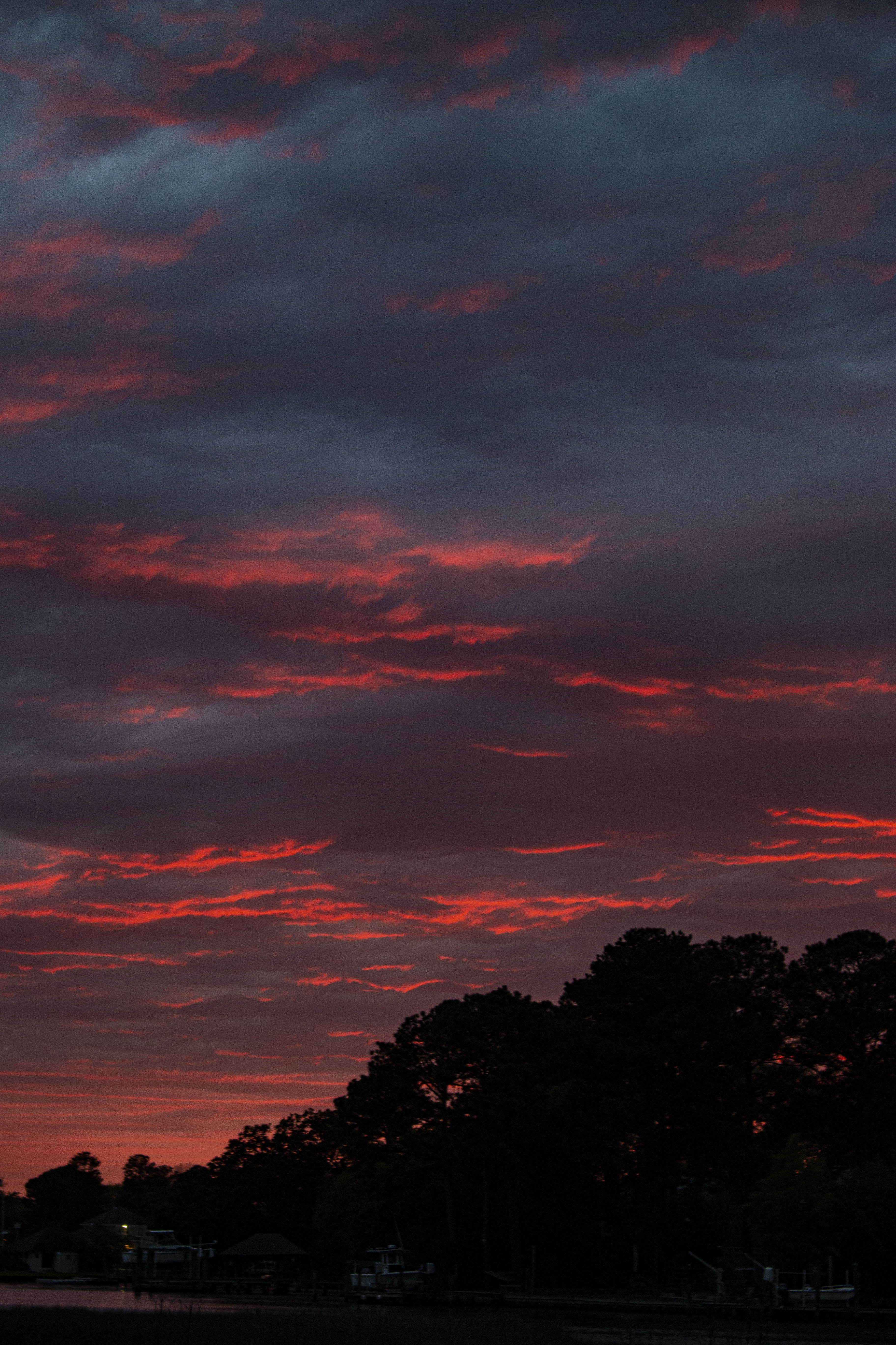 Sunset over trees