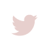 Twitter Logo